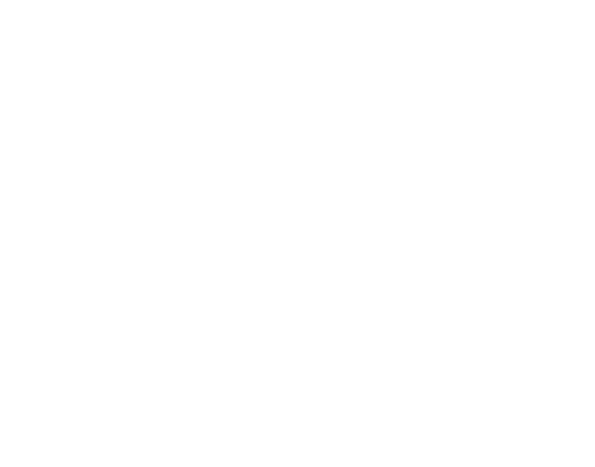 TIM SA