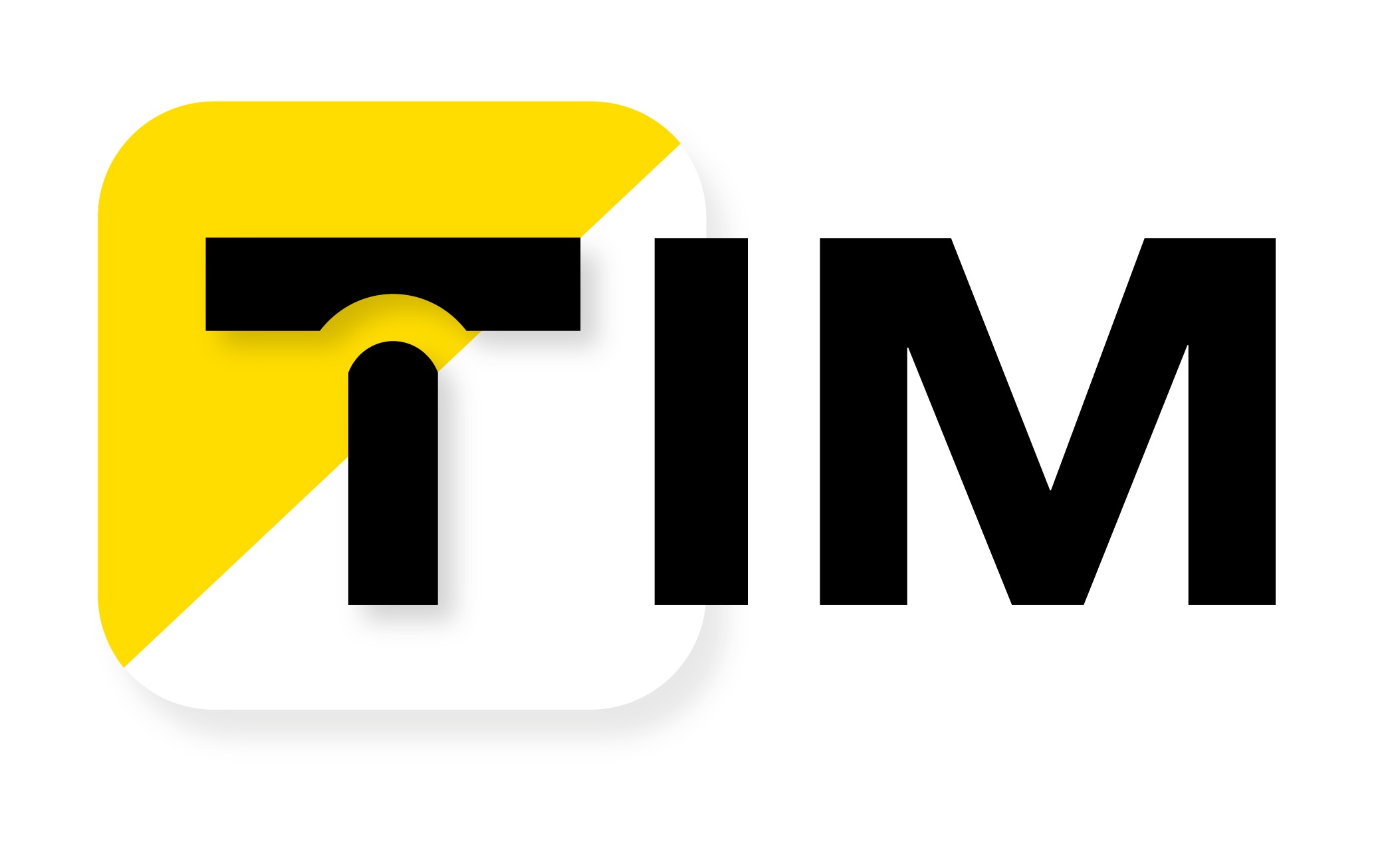 TIM SA
